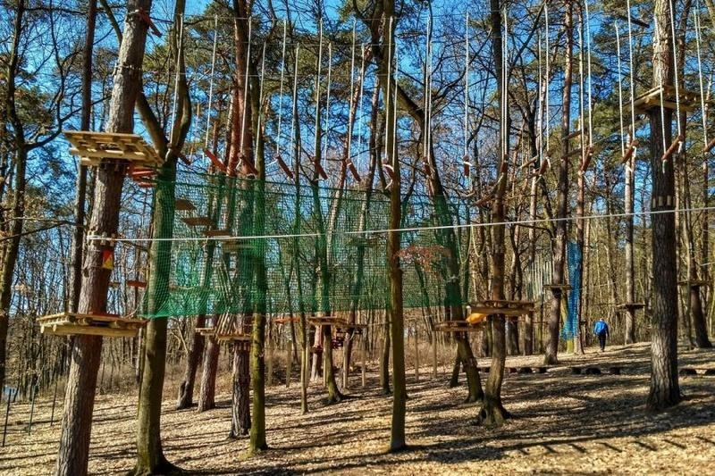 Najlepsze parki linowe w zachodniopomorskim – trasy i atrakcje dla całej rodziny