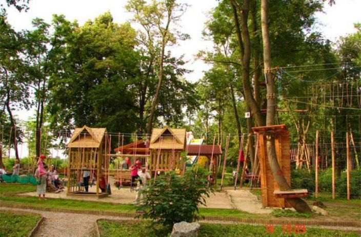 Park linowy Malbork – emocjonujące trasy dla dzieci i dorosłych