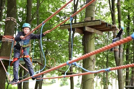 Park linowy Ostrzyce – trasy, atrakcje i ceny przed wizytą