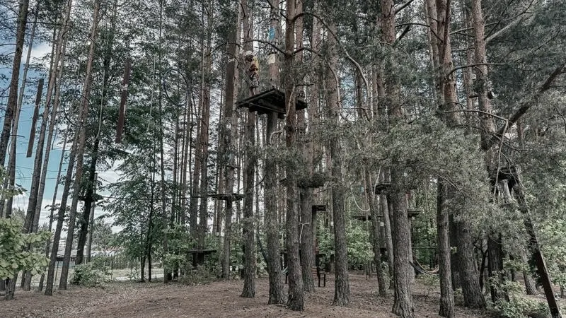 Rodzinny przewodnik po najlepszych parkach linowych w Podlasiu